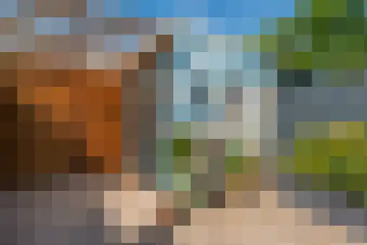 Langestede 77 Den Haag thumbnail 19
