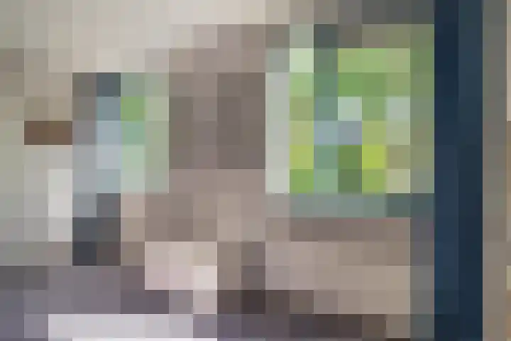 Langestede 77 Den Haag thumbnail 31