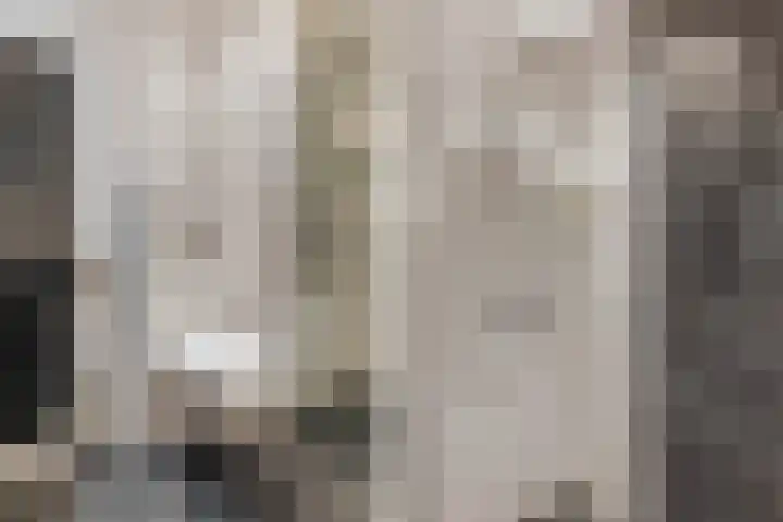 Langestede 77 Den Haag thumbnail 33