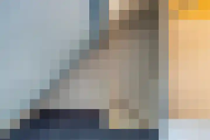 Langestede 77 Den Haag thumbnail 36