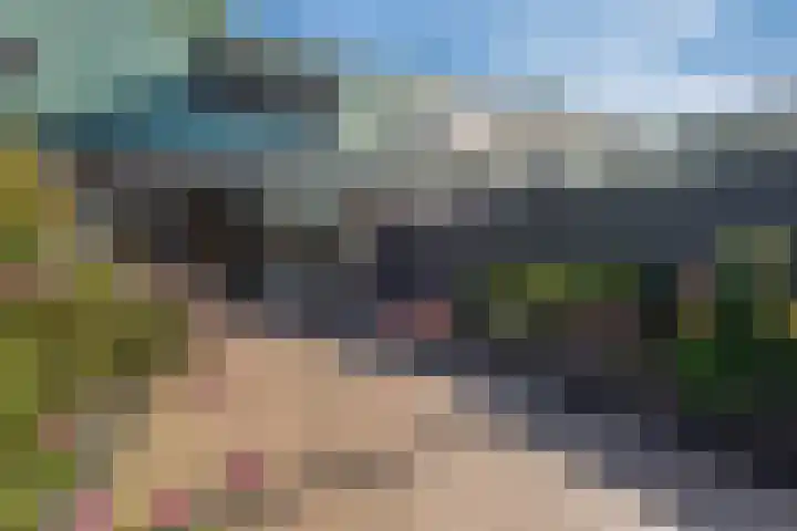 Langestede 77 Den Haag thumbnail 4