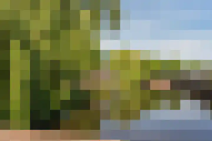 Langestede 77 Den Haag thumbnail 42