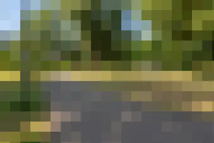 Langestede 77 Den Haag thumbnail 43