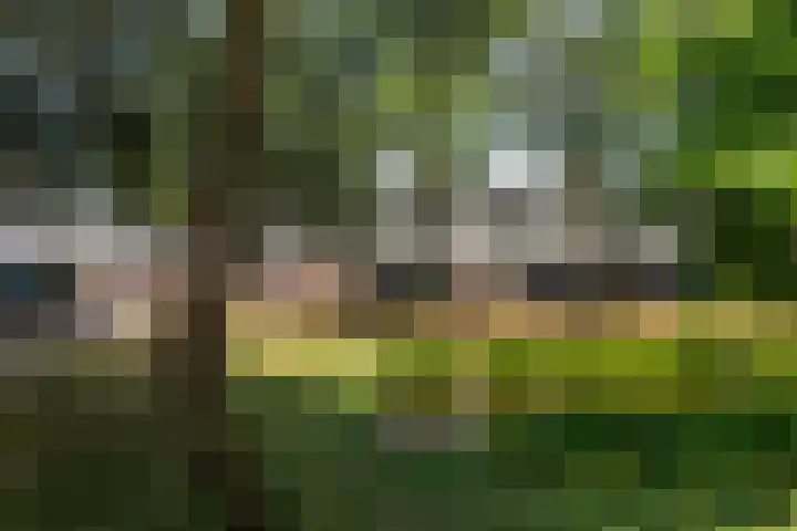 Langestede 77 Den Haag thumbnail 5