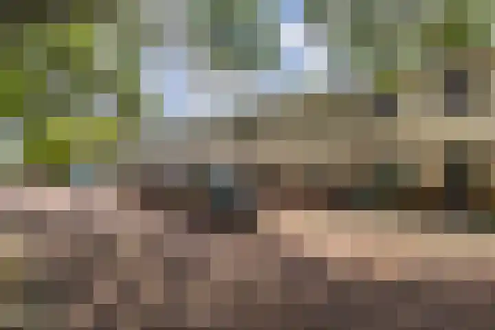 Langestede 77 Den Haag thumbnail 50