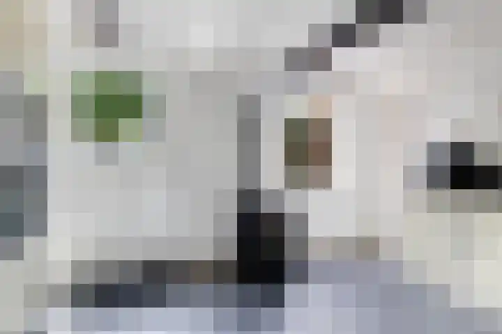 Langesteech 2 Marrum thumbnail 16