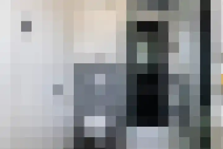 Langesteech 2 Marrum thumbnail 20