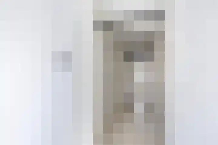 Langesteech 2 Marrum thumbnail 23