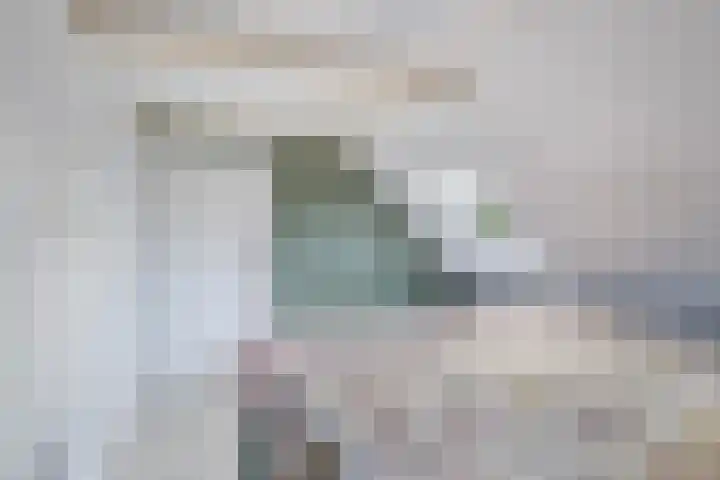 Langesteech 2 Marrum thumbnail 25
