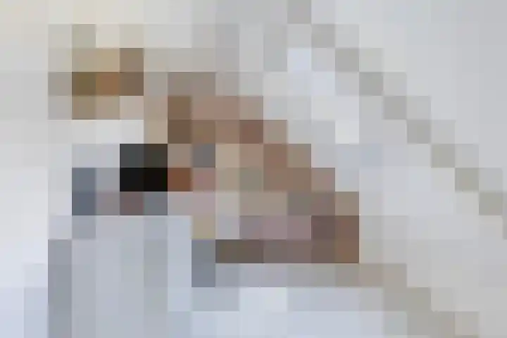 Langesteech 2 Marrum thumbnail 26