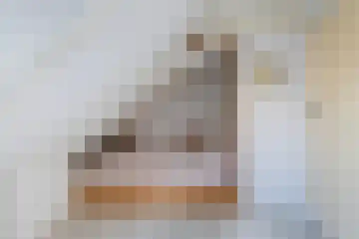 Langesteech 2 Marrum thumbnail 27