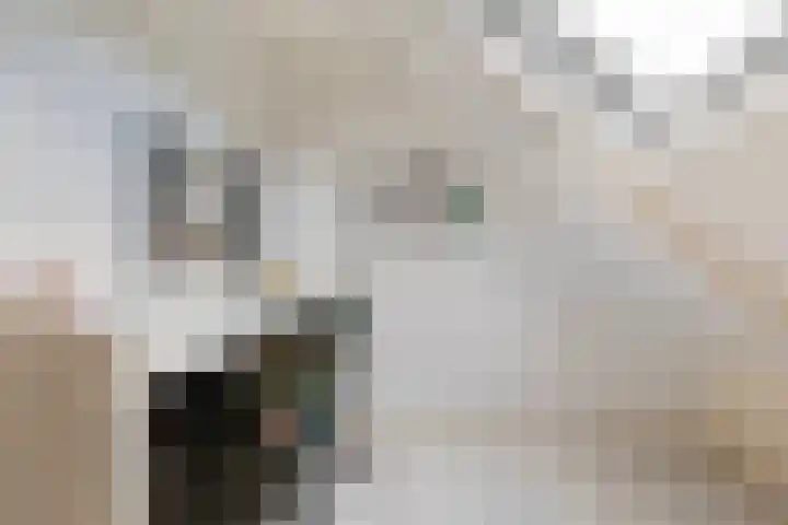 Langesteech 2 Marrum thumbnail 29