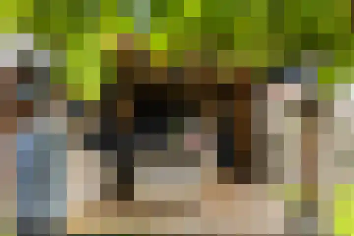Langesteech 2 Marrum thumbnail 30
