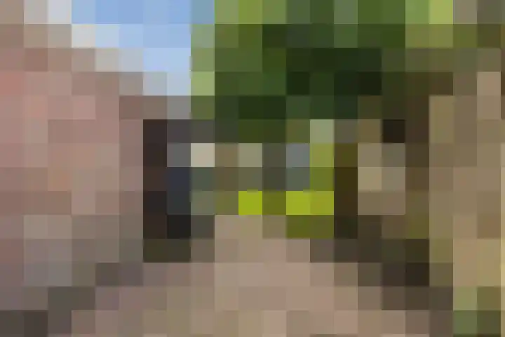 Langesteech 2 Marrum thumbnail 34