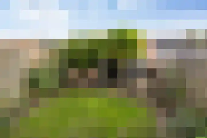 Langesteech 2 Marrum thumbnail 35