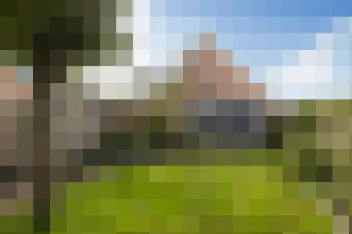 Langesteech 2 Marrum thumbnail 36