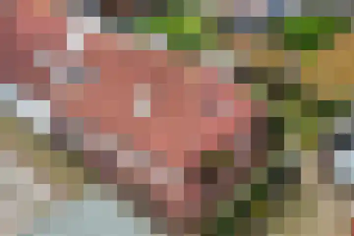 Langesteech 2 Marrum thumbnail 37