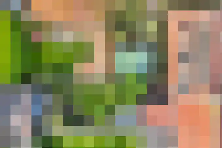 Langesteech 2 Marrum thumbnail 38