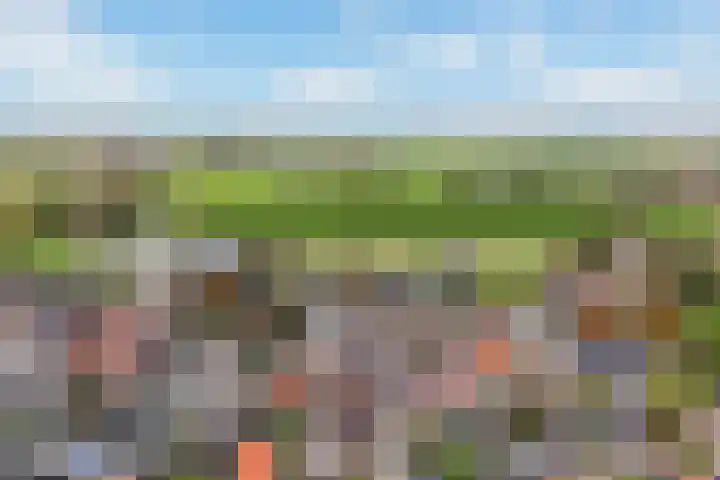 Langesteech 2 Marrum thumbnail 40