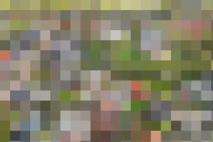 Langesteech 2 Marrum thumbnail 41