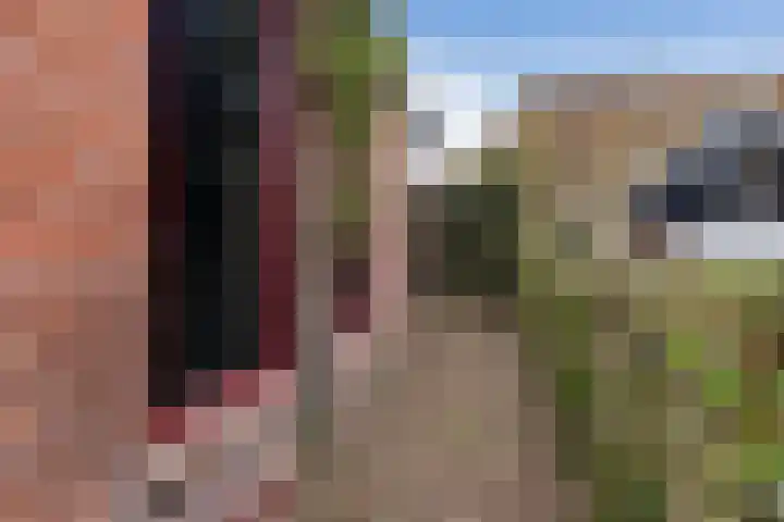 Langesteech 2 Marrum thumbnail 5