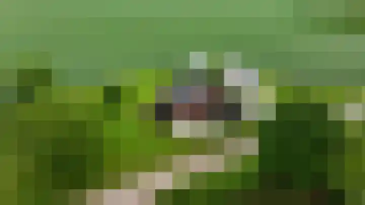Langesteeg 10 Zoelen