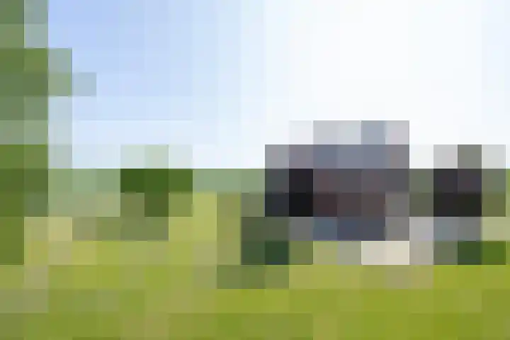 Langesteeg 10 Zoelen thumbnail 11