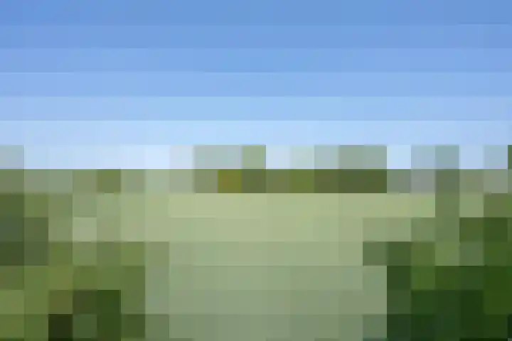 Langesteeg 10 Zoelen thumbnail 16