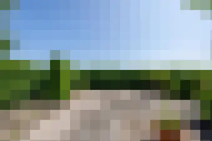Langesteeg 10 Zoelen thumbnail 27