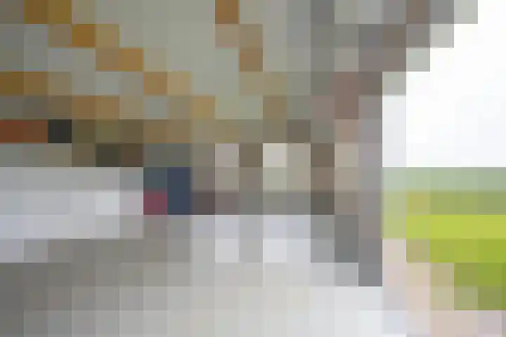 Langesteeg 10 Zoelen thumbnail 33