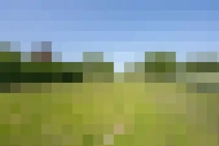 Langesteeg 10 Zoelen thumbnail 37