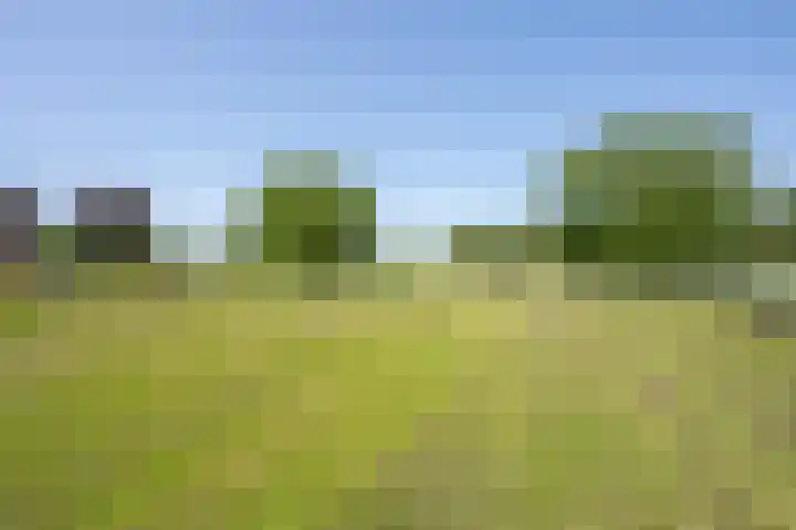 Langesteeg 10 Zoelen thumbnail 38