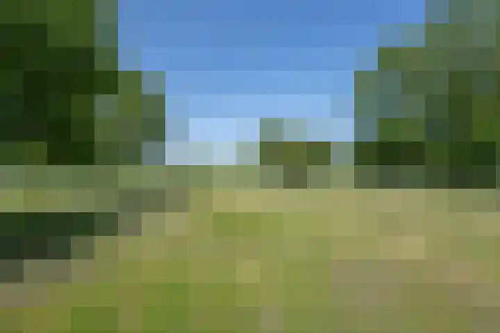 Langesteeg 10 Zoelen thumbnail 39