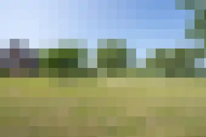 Langesteeg 10 Zoelen thumbnail 41