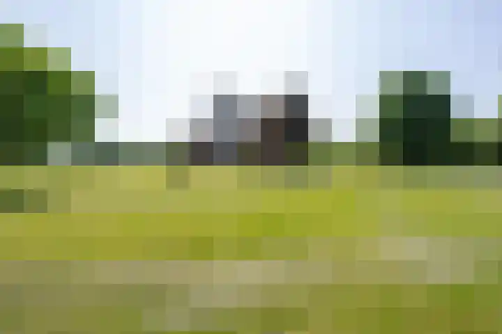 Langesteeg 10 Zoelen thumbnail 42