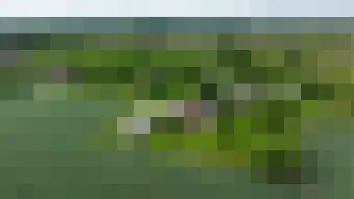 Langesteeg 10 Zoelen thumbnail 5