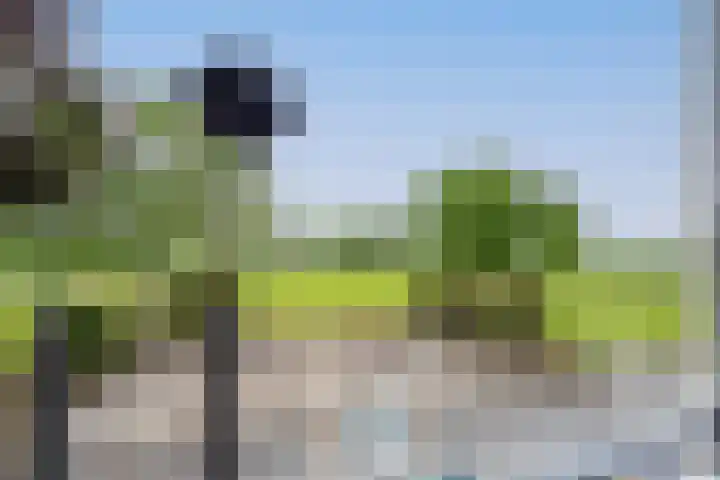 Langesteeg 10 Zoelen thumbnail 54