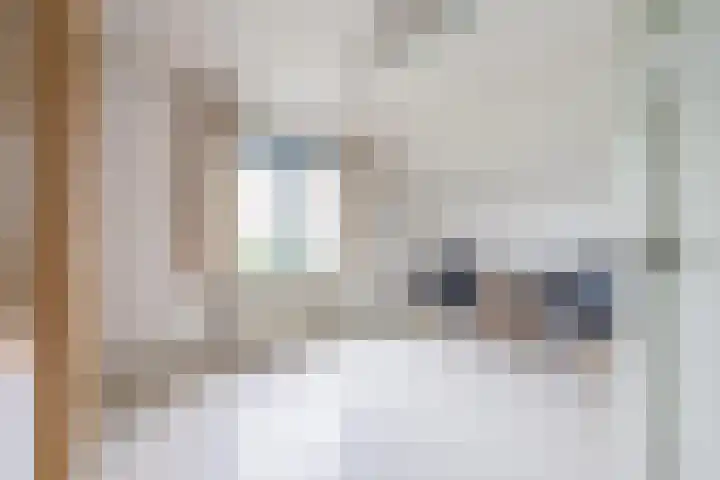 Langesteeg 10 Zoelen thumbnail 59