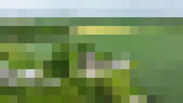 Langesteeg 10 Zoelen thumbnail 6