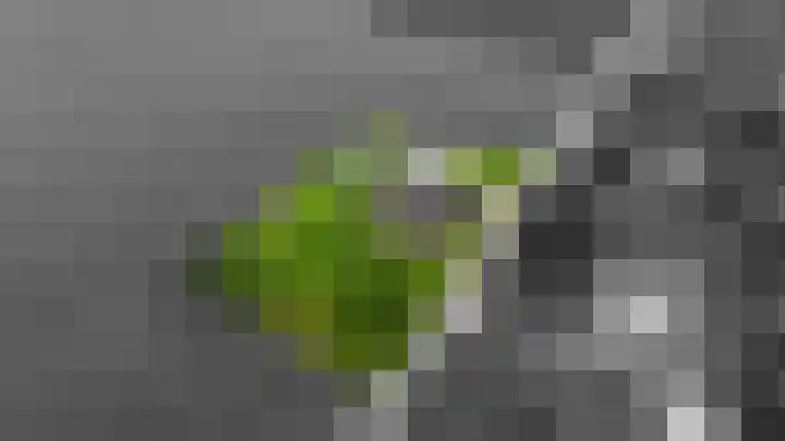 Langesteeg 10 Zoelen thumbnail 64