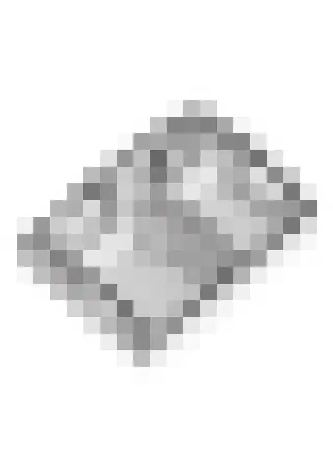Langesteeg 10 Zoelen thumbnail 69