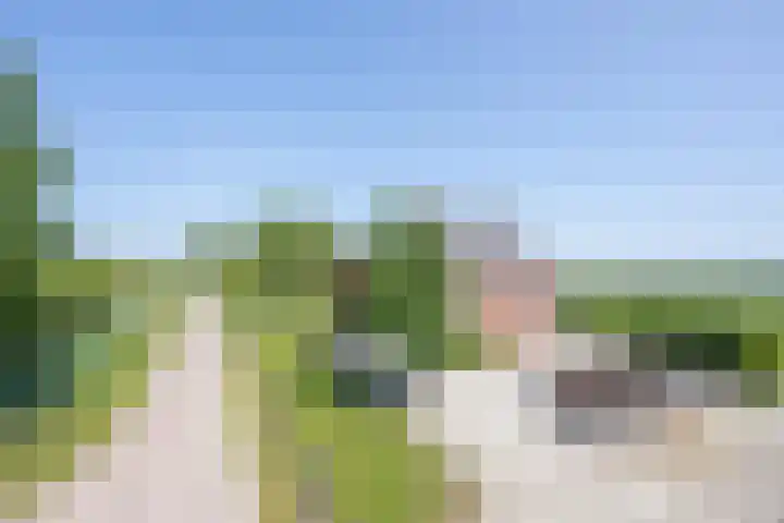 Langesteeg 10 Zoelen thumbnail 8