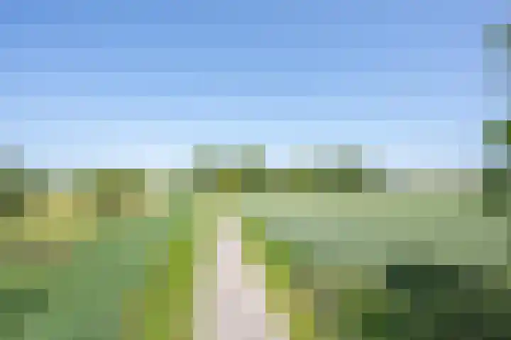 Langesteeg 10 Zoelen thumbnail 9