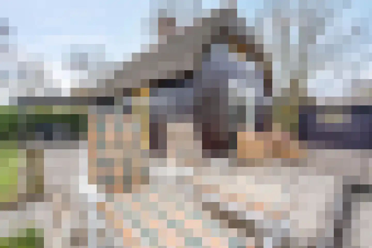 Langesteeg 12 e Giethoorn thumbnail 32