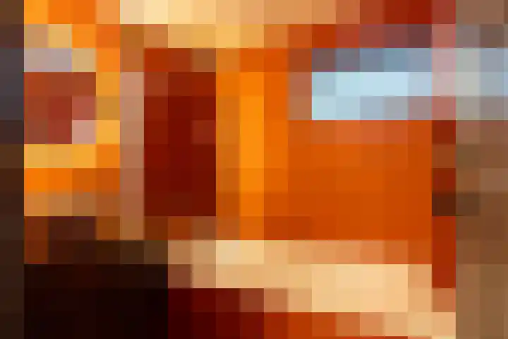 Langesteeg 6 Werkendam thumbnail 20