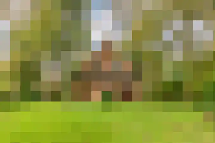 Langesteeg 6 Werkendam thumbnail 22