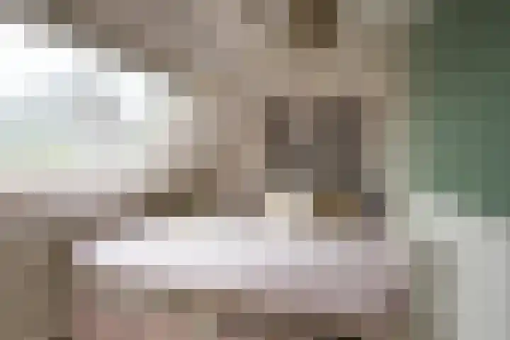 Langesteeg 6 Werkendam thumbnail 27