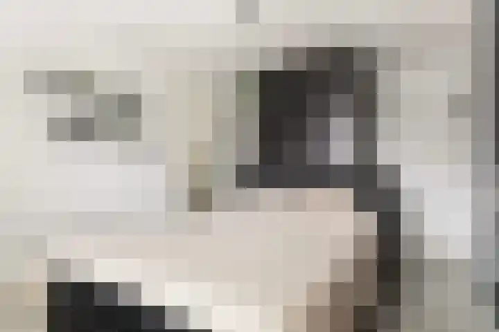 Langesteeg 6 Werkendam thumbnail 30