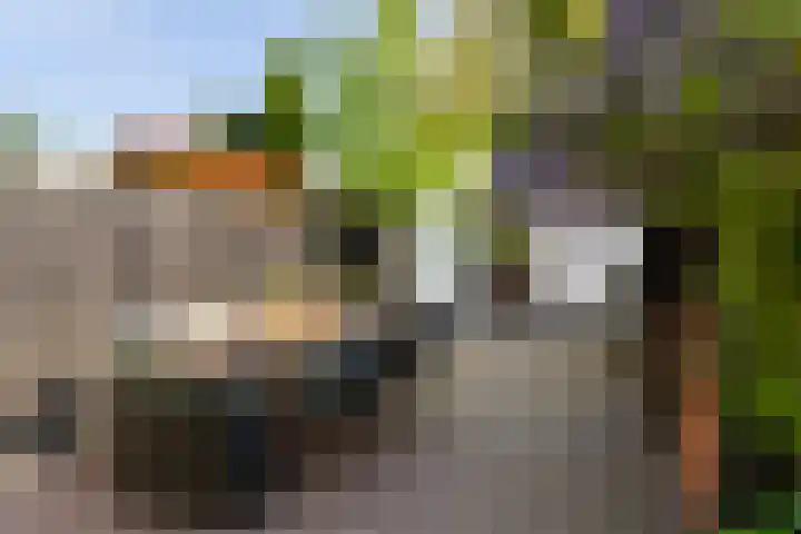 Langesteeg 6 Werkendam thumbnail 30