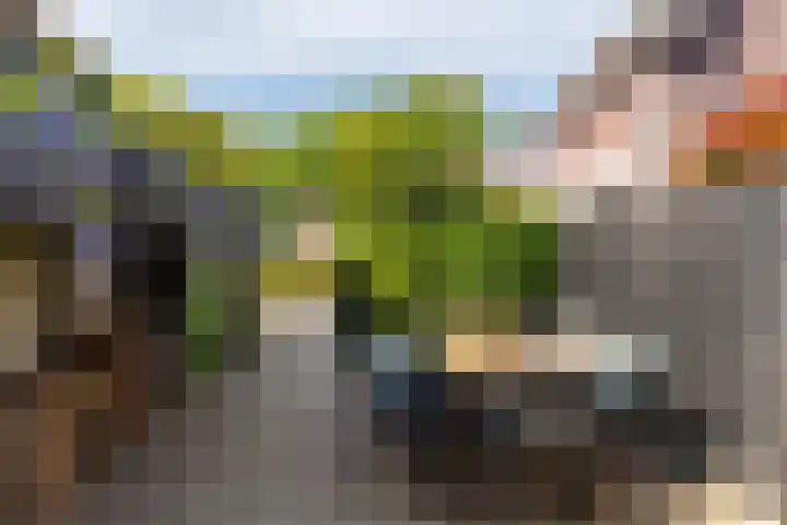 Langesteeg 6 Werkendam thumbnail 31